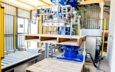 Robot para despaletizado