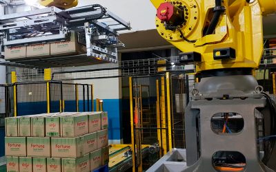 Cómo elegir un robot paletizador: la guía que nadie te cuenta