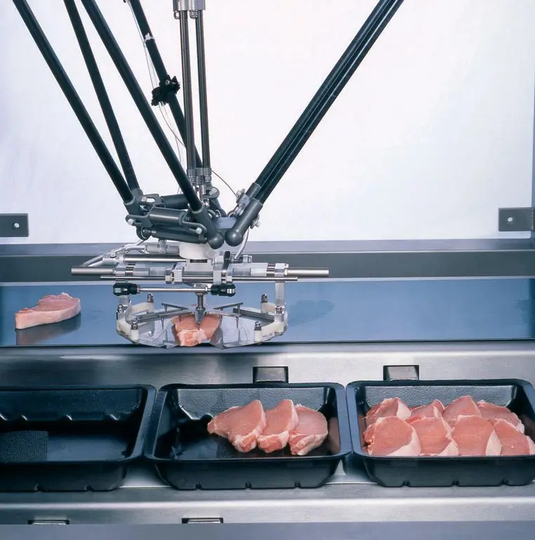 Robot delta pick and place manipulando filetes de carne